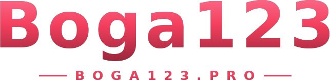 Boga123 logo